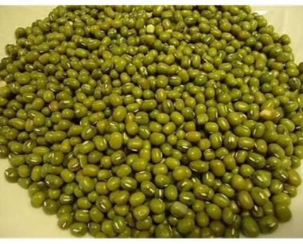 Green gram - ಹೆಸರು ಕಾಳು 1st quality