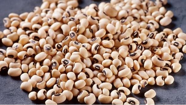 Black eyed Beans- ಅಲಸಂದೆ ಕಾಳು