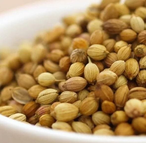 Coriander seeds / ಕೋತಂಬರಿ ಬೀಜ