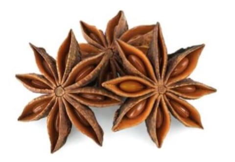 Star Anise/ಚಕ್ರ ಮೊಗ್ಗು